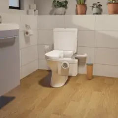 Sanitop